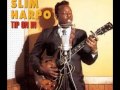 Slim Harpo - I´m Gonna Miss You Like the Devil