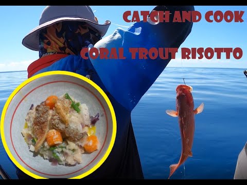 Catch and cook coral trout risotto with crispy skin