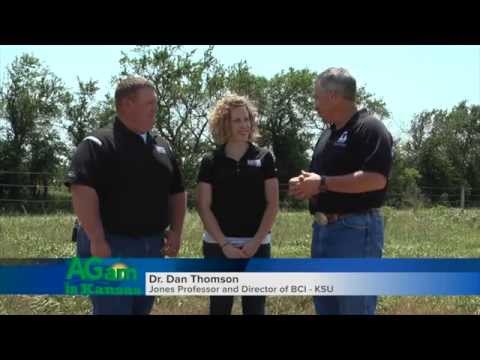 That's My Farm Sawyer Land & Cattle