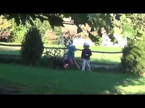 hunger games reporter part 1