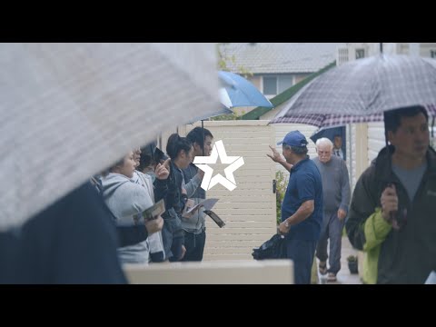 Auction - 194 Gibson Avenue Padstow - Professionals Padstow