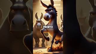 os burros mais burros