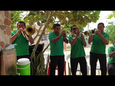 ✅🔥EL GUAYABO DE LA YE 💃 - Banda Dinastía de la Ye