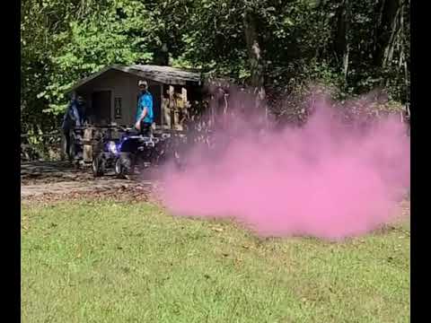 yamaha banshee gender reveal. I'm having twin girls