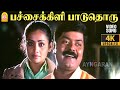 Pachaikili Paaduthoru 4K Video Song Arivumani Murali Meera Vasudevan Janakiraj Ayngaran