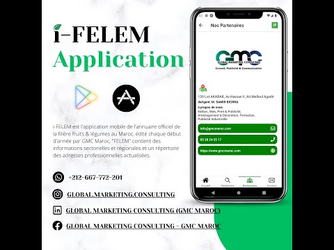 i-FELEM