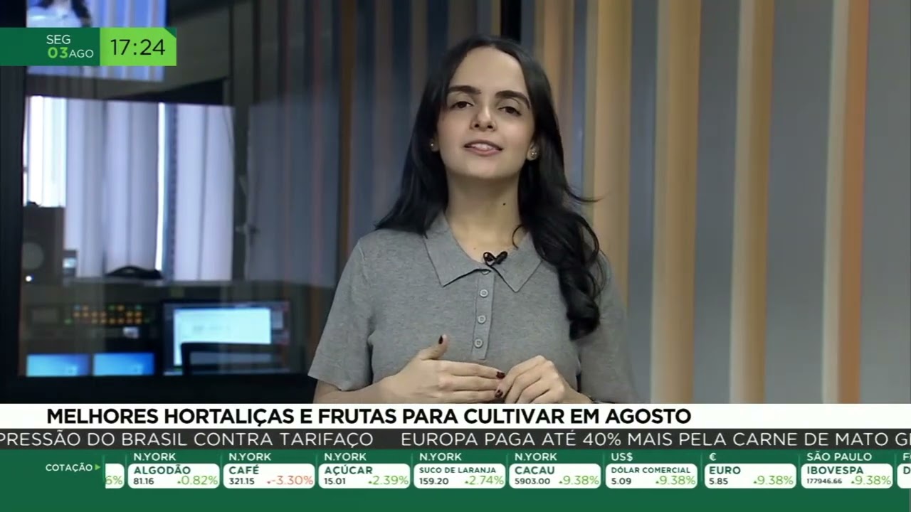Melhores hortaliças e frutas para cultivar em agosto