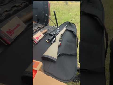 Ruger American  450 Bushmaster  Range 2