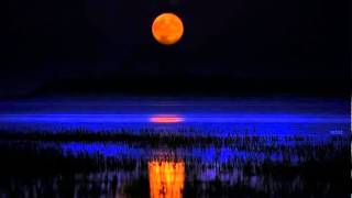 Tharam Vaalkannadi Nokki..!! (Mini Anand)