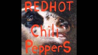 Red Hot Chili Peppers - Search and Destroy (Live)