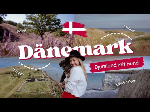 Dänemark Urlaub mit Hund an der Ostsee | Djursland, Mols Bjerge, Burg Kalø & Ebeltoft Reisevlog