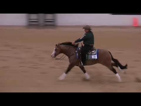 2021 Shawn Flarida & Spooks Gotta Spark. Run for a million. The crowd favorites.