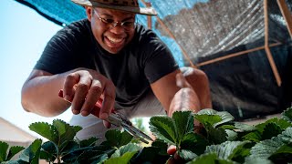 Successful Gardening Through a Hot Summer | Problem Solved