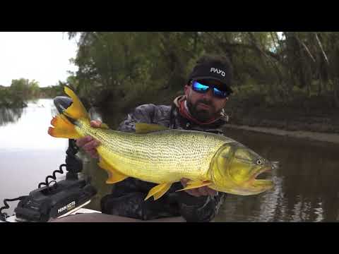 Pescando Dorados en Esquina, Corrientes