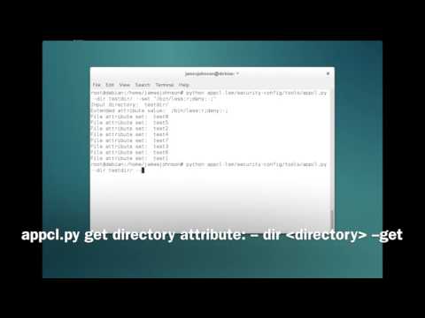 AppCL LSM: appcl.py demo video 1