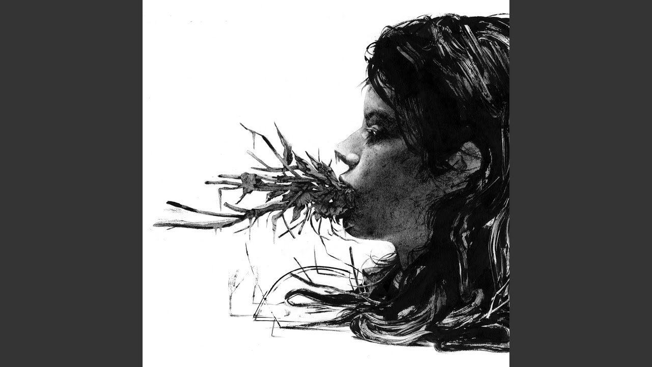 Parenthetical Girls - Avenue of Trees