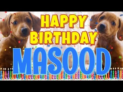 Happy Birthday Masood! ( Funny Talking Dogs ) What Is Free On My Birthday