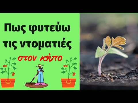 , title : 'Πως φυτεύω τις ντοματιές στον κήπο'
