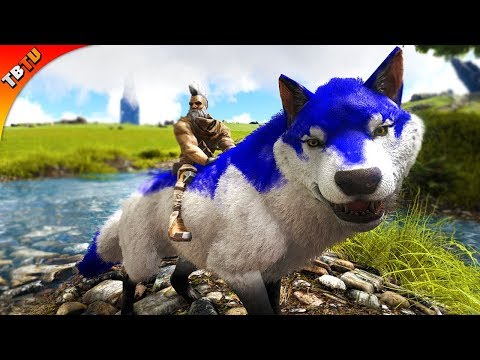 🔔 DIREWOLF TAMING AND BREEDING! Ark: Survival Ragnarok Fight Club [Live Gameplay]
