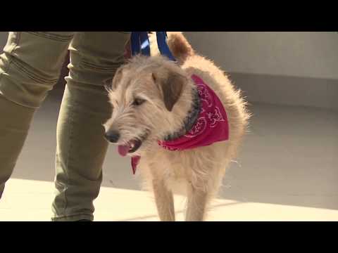 Hírek 2020. július 8.