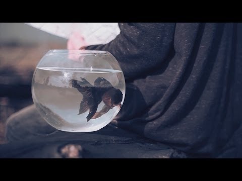 Resist Temptation & FANES - Hope (Official Music Video)