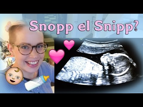 Rutinultraljud och ta reda på kön?! Gravid v 19