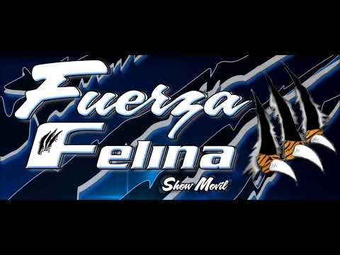 Salsa baúl fuerza felina vol 1 dj denys el infernal