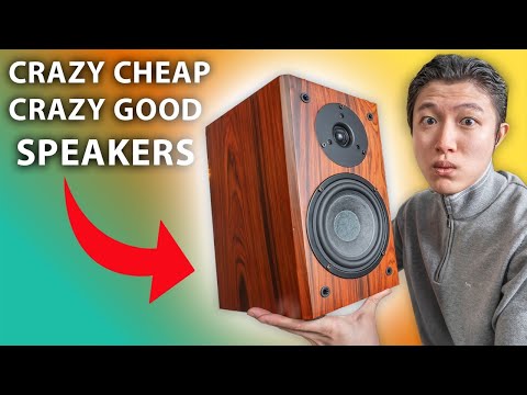 How is THIS Possible?! The Best Budget Speaker Nobody's Talking About Under $500