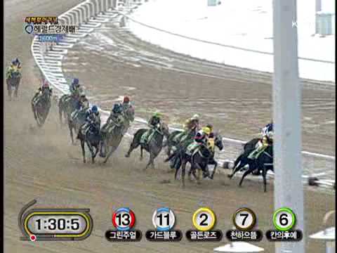 2010 Herald Business Cup (New Year Commemoration)