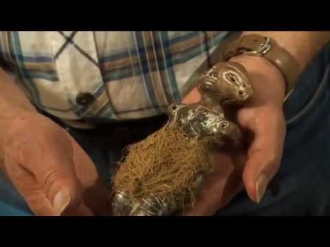 The lost world of Old Europe - The Danube Civillization