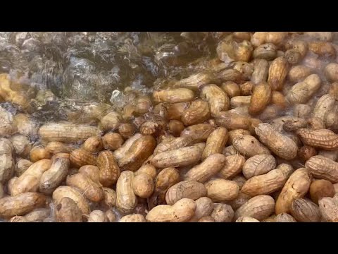 LOUISIANA CAJUN BOILED PEANUTS🥜🔥🤤