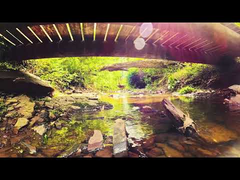 Sparkling Spring Stream Timelapse