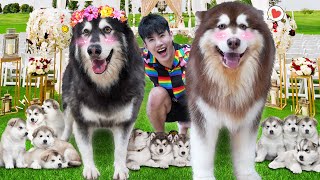 เปิดตัวหมายักษ์ตัวที่สอง!! แฟนน้องกังฟู..สมาชิกใหม่เข้าแก๊งหมี! เปิดตัวหมายักษ์ตัวที่สอง!! แฟนน้องกังฟู..สมาชิกใหม่เข้าแก๊งหมี!