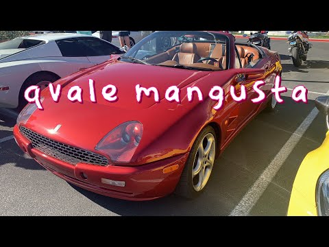 Thumbnail for 2001 Qvale Mangusta Ultra Rare Exotic Italian Car powered by Ford designed by De Tomaso LV car meet by Qvale