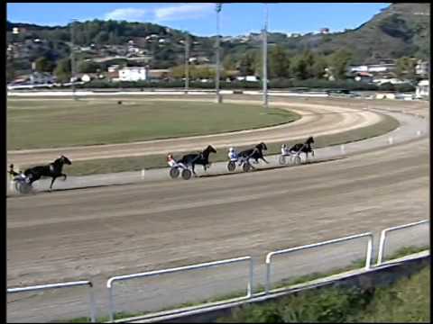 Trotto 23/10/2014 - 1° corsa