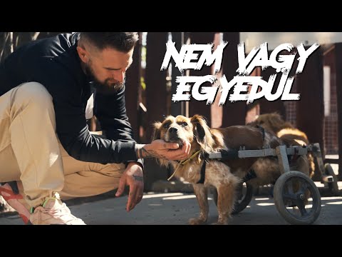 RAUL - NEM VAGY EGYEDÜL (Official Music Video)