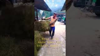 Download lagu Ojo kakean sambat wong Urip kudu kuat#tukangngarit #shortsvideo mp3 Download lagu Ojo kakean sambat wong Urip kudu kuat#tukangngarit #shortsvideo mp3