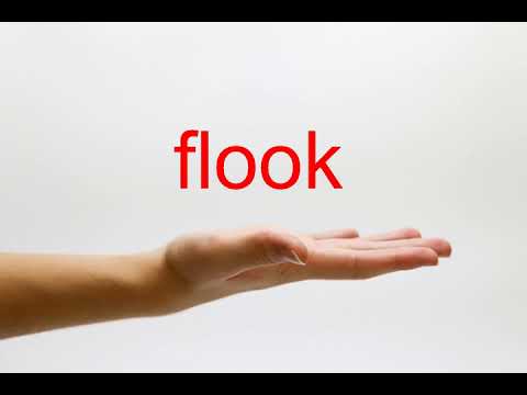 How to Pronounce flook - American English