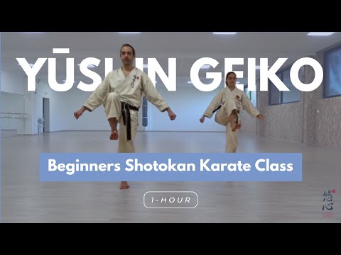 1 hour Shotokan Karate Class for Beginners | Basic techniques & Heian Shodan Kata