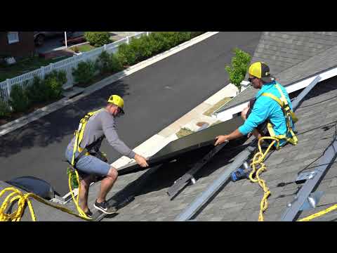 Our Why from Our Owner