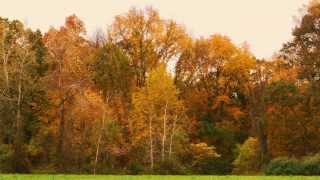 preview picture of video 'GOD PAINTS THE CONNECTICUT COUNTRY SIDE by WALT BARRETT'