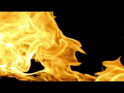 Auf Jobsuche? Werde Teil unseres Teams! Gute Gründe für ISR - Teil 4: IT-Leidenschaft