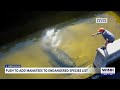 Experts speak to growing support to ‘uplist’ manatees as endangered