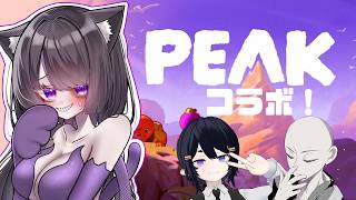 【ゲーム】たぶん西遊記かなんか【PEAK】
