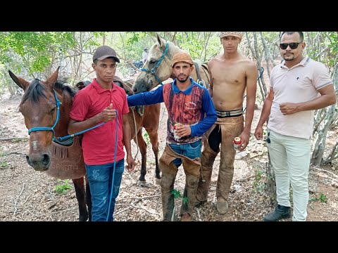 20°CORRIDA DA VACA LINDINHA FAZ POÇO NOVO PAULO AFONSO-BA VAQUEIROS FERNANDINHO  E GUSTAVO
