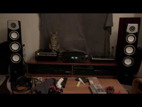 Audio Hungary Qualiton APR-204 Pre Amp + Yamaha A-S1100 (As main) + Yamaha NS-F901 (Muddy Waters)