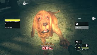 【PC版theHunter:CotW】#4 便利系DLCを触ってみるだけ【ゆっくり実況】