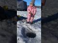 Video Thumbnail for 2 year old ice fishing reeling them in!! #adventure #kidfishing #daddydaycare #walleye