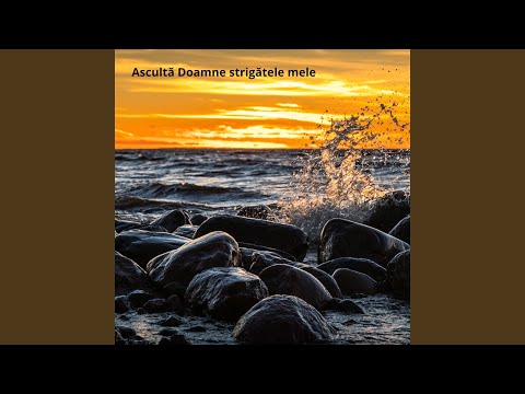 Ascultă Doamne strigătele mele