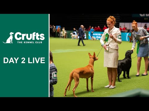 Day 2 Live | Crufts 2022